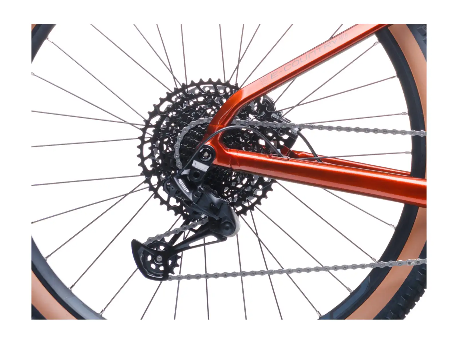 Crussis e-Country AX MTB 8.12-M2(800) Mountain-E-Bike