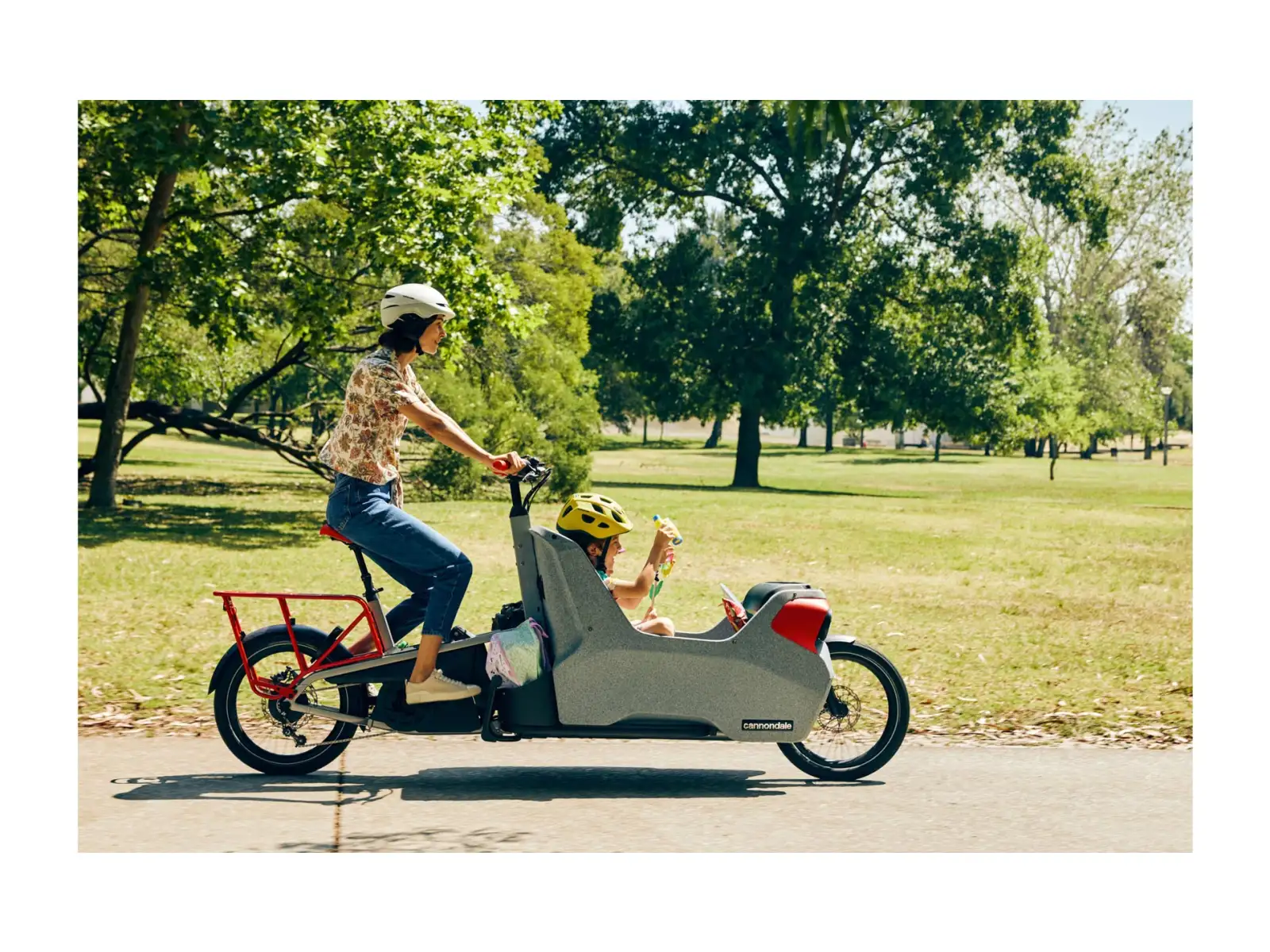 Cannondale Wonderwagen NEO 1 Stadt E-Bike GRY