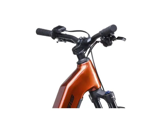 Crussis e-Country AX MTB 8.12-M2(600) Mountain-E-Bike