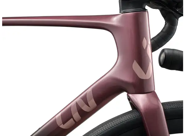 Liv Avail Advanced 1 Rennrad Iron Rouge/Carbon