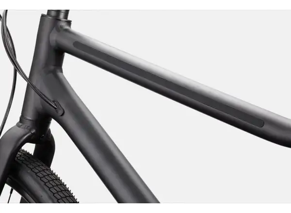 Cannondale Treadwell 2 Ltd RAW Fitnessbike