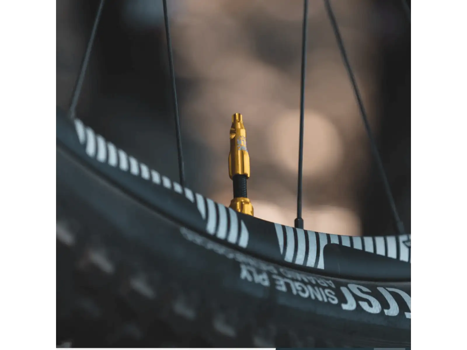 Lezyne CNC TLR Ventil Tubeless 60 mm in Gold