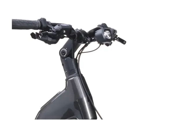 Crussis ONE-Country full AX 10.12-M2(800) City-E-Bike