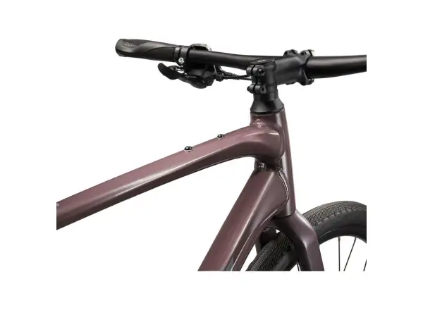 Giant FastRoad AR 3 Trekkingrad Charcoal Plum