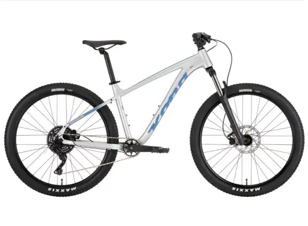 Kona 36e Fire Mountain Mountainbike Silver