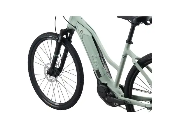 Liv Rove E+ Damen E-Bike Laurel