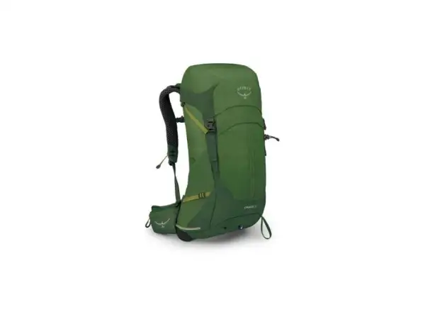 Osprey Stratos 26 l Rucksack Seaweed/Matcha Green