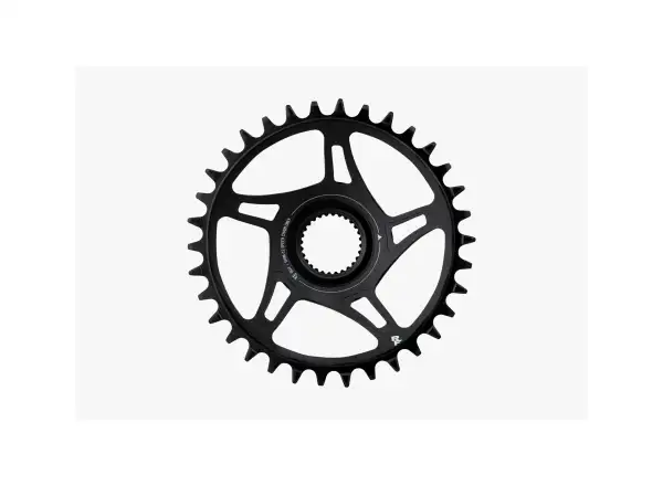 Race Face Kettenblatt BG4 Direct Mount 55 34T Kettenblatt Schwarz