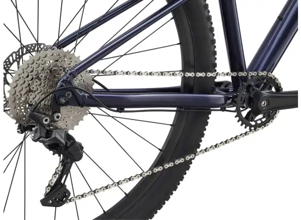 Liv Tempt 29 1 GE Mountainbike Milchstraße