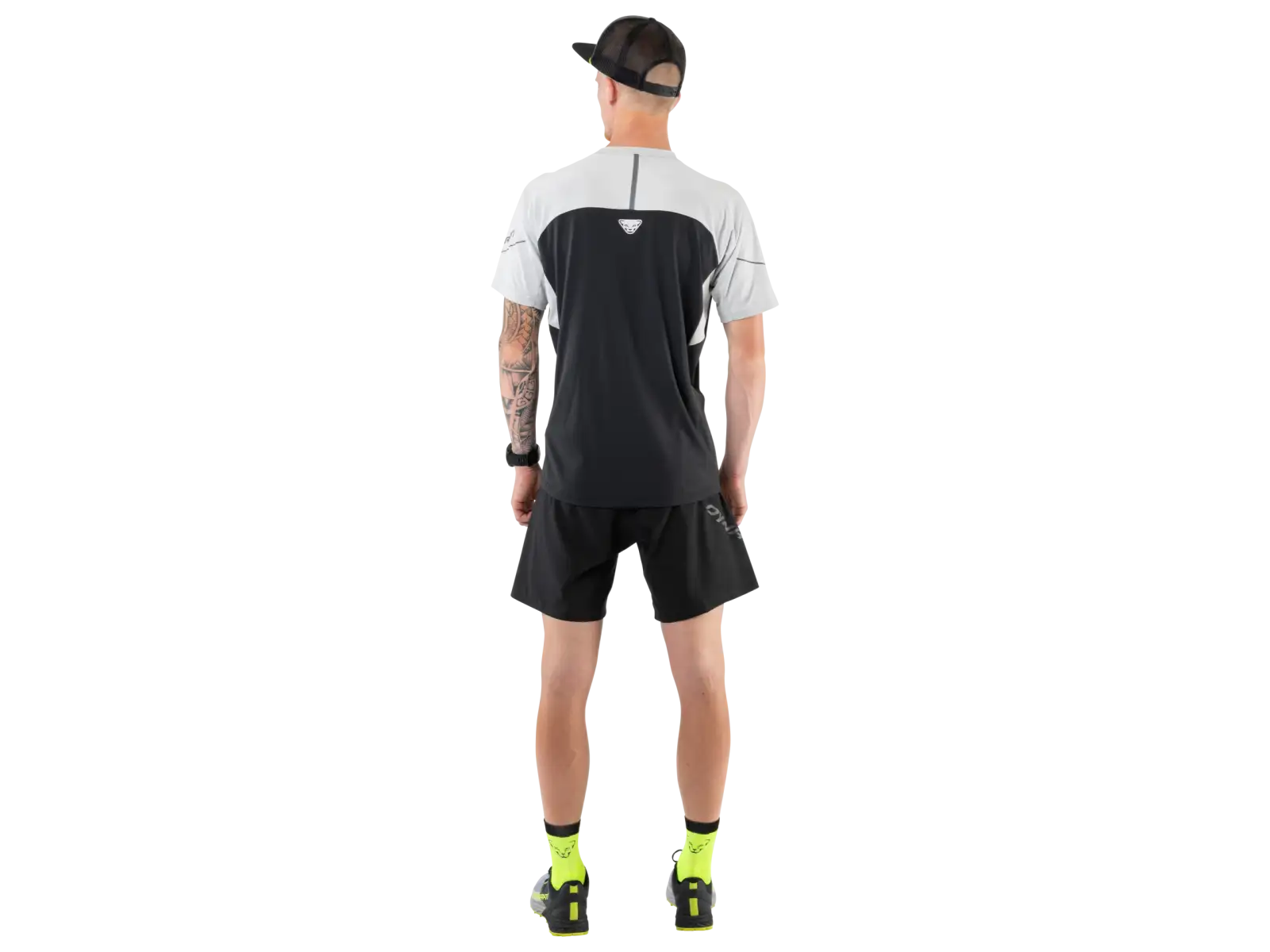 Dynafit Alpine Pro Herren Langarm-Laufshirt Nimbus Melange