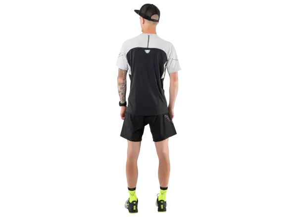 Dynafit Alpine Pro Herren Langarm-Laufshirt Nimbus Melange