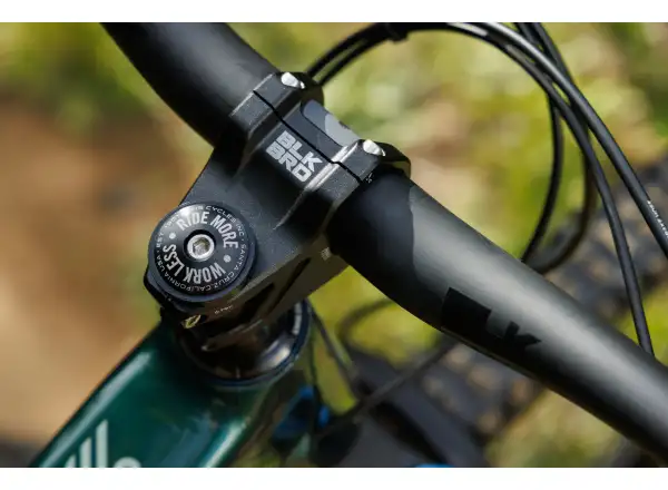 Ibis Ripley V5 Rahmen Kit Green Flash