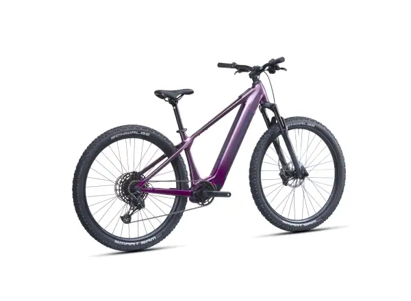 Crussis e-Fionna AX 9.12-M2(600) Mountain-E-Bike