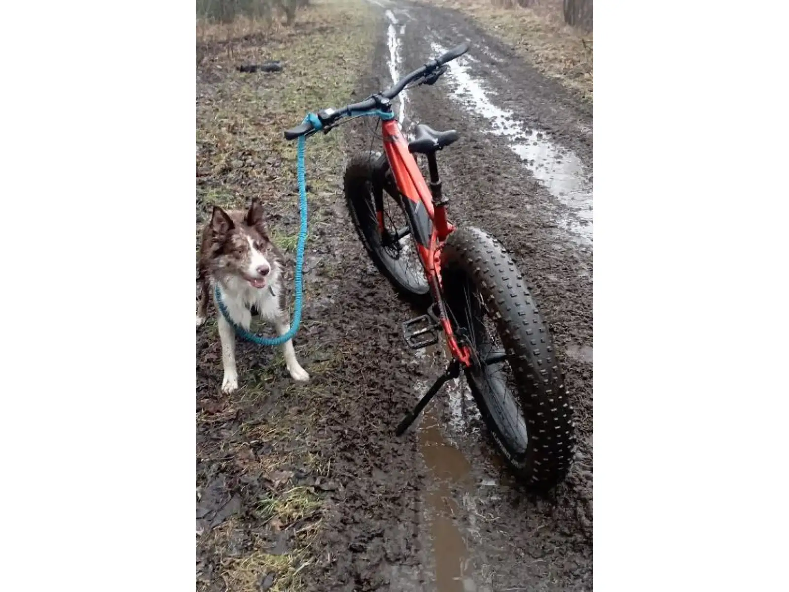 Rock Machine Avalanche INT e70-26 Fatbike E-Bike in Gloss Metallic Orange/Silver.