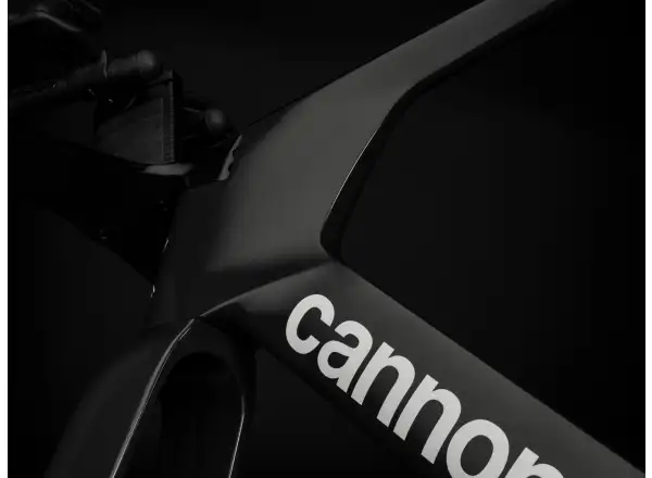 Cannondale SuperSlice A/M Straßenrahmenset RAW
