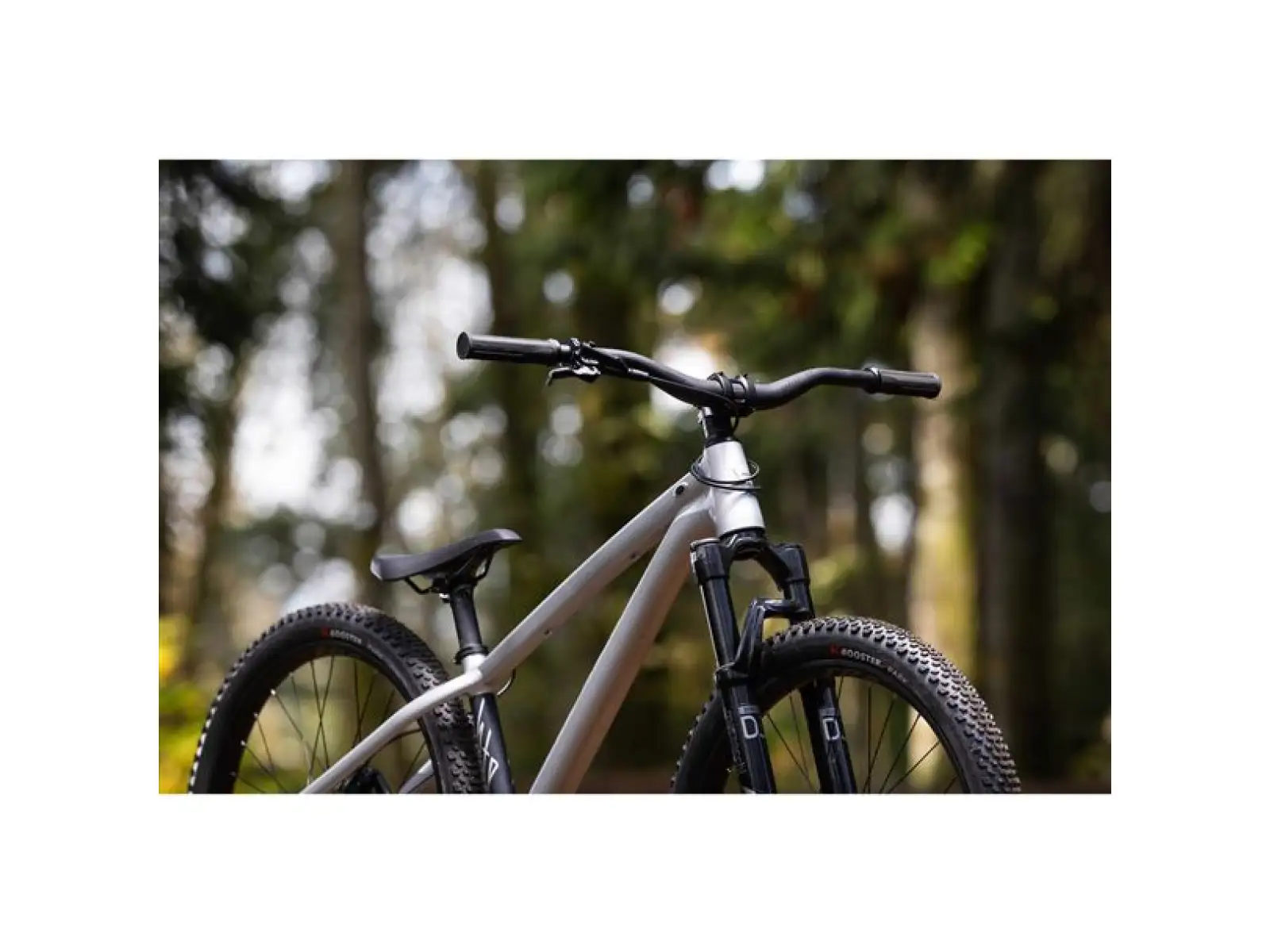 Giant STP 26 Dirtbike Brush Aluminum