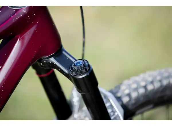 Superior XF 9.7 DC Mountainbike Matte Berry Carbon