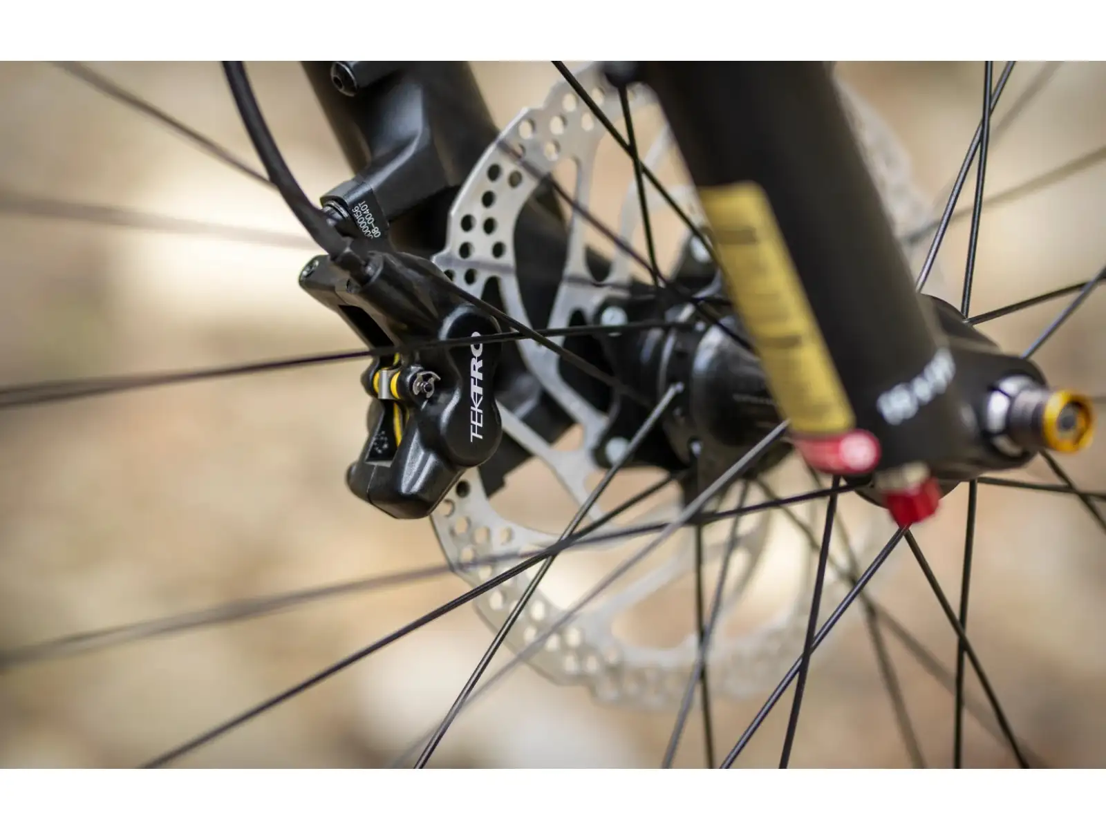 Superior eXP 8089 elektrisches Mountainbike Matte Olive Metallic/Chrome Silver