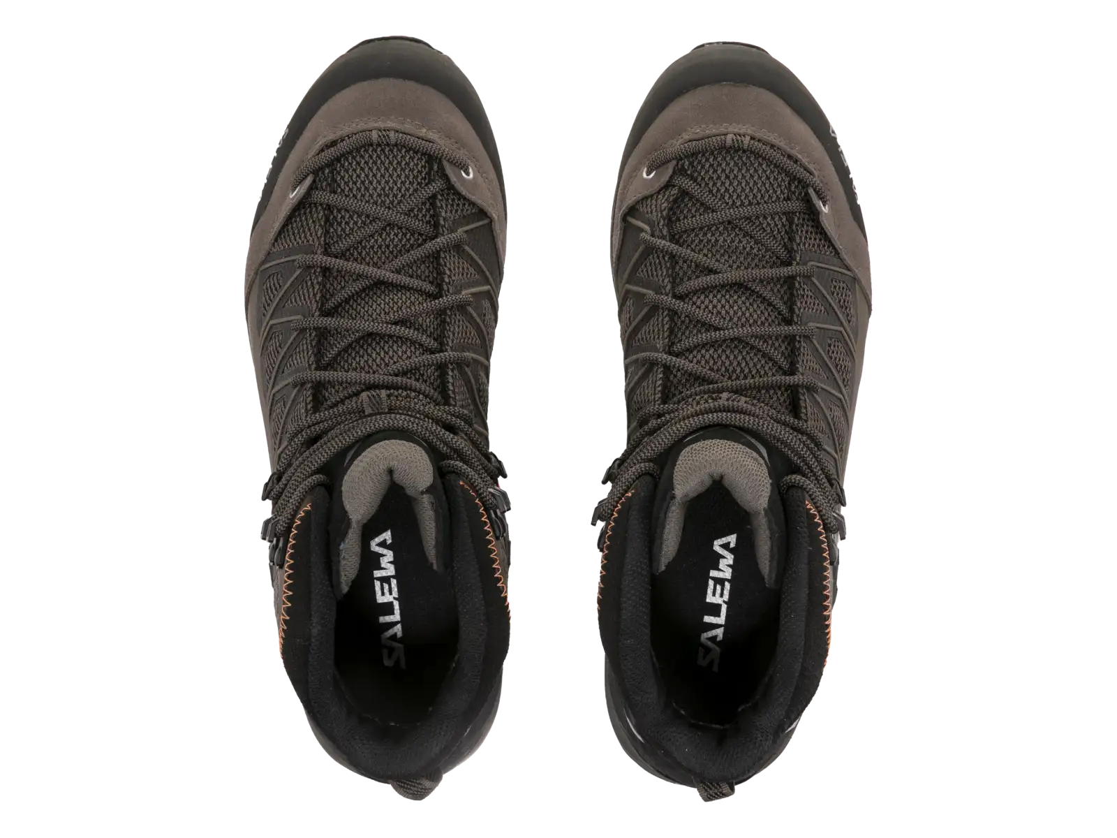 Salewa MS MTN Trainer Lite Mid Gore-Tex Herrenschuhe Bungee Cord/Black