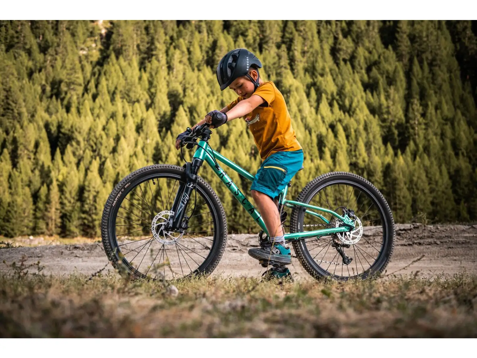 Rascal Wild 24 Kinderfahrrad Emerald