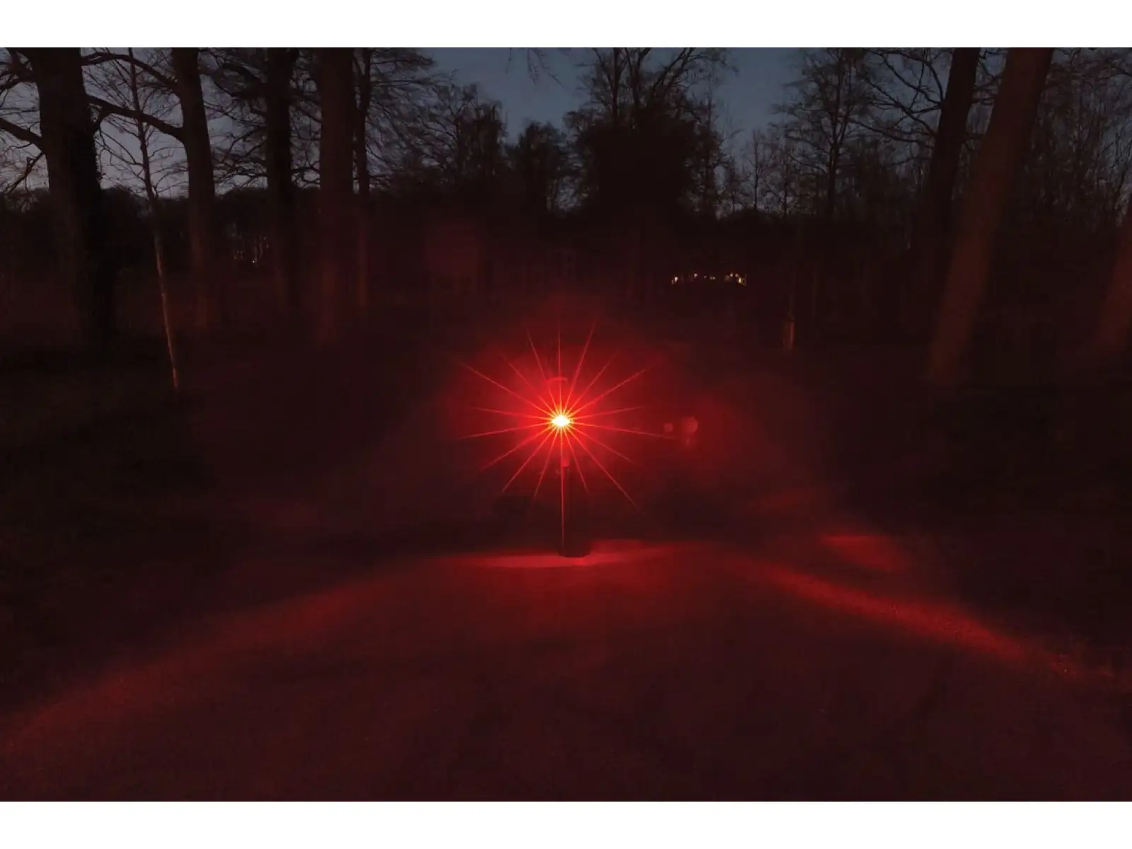 AXA Juno Dynamo Steady Licht 50 mm