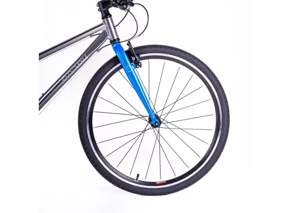 Beany Zero 26 Kinderfahrrad Silver