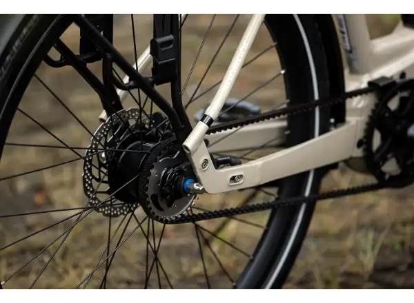 Superior eWAY 6.45 City E-Bike Gloss Dust