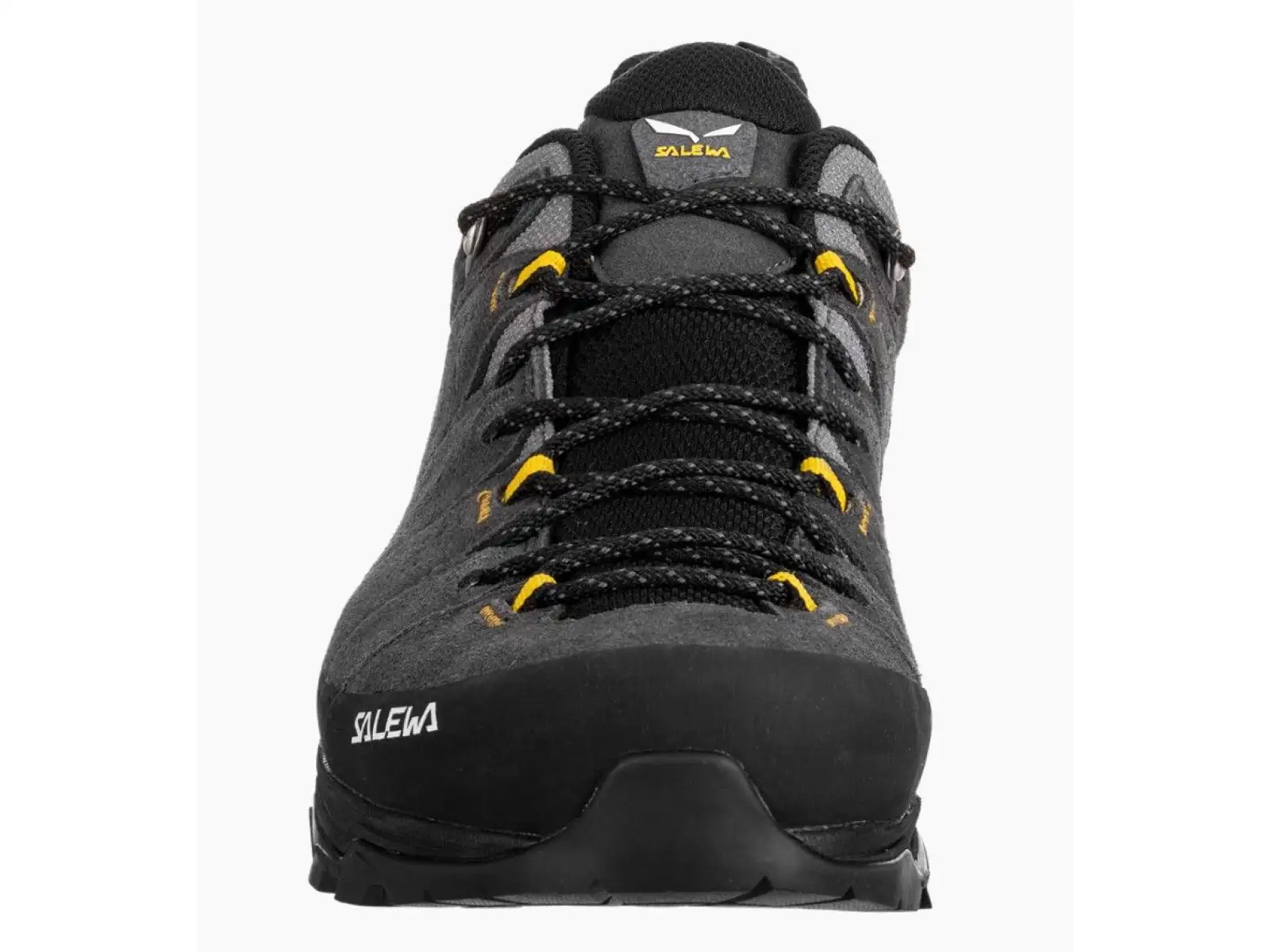 Salewa Alp Trainer 2 Gore-Tex Herrenschuhe Onyx Black