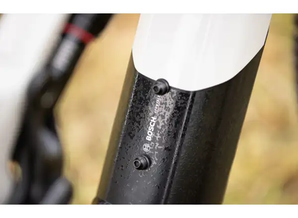 Superior eXF 8089 B Gloss Chrome/Matte Black vollgefederte Elektrofahrrad