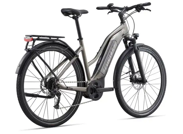 Giant Explore E+3 DD Trekking E-Bike space grey
