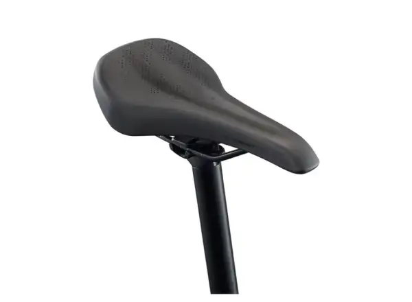 Liv Tempt E+ BOX E-Mountainbike Lunar Eclipse