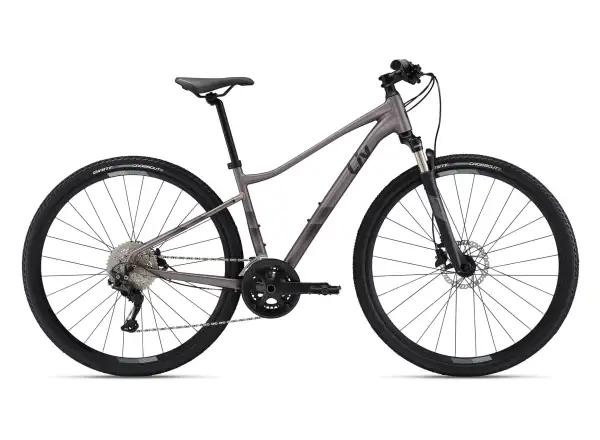 Liv Rove 1 DD Damen-Trekkingrad Dark Eclipse