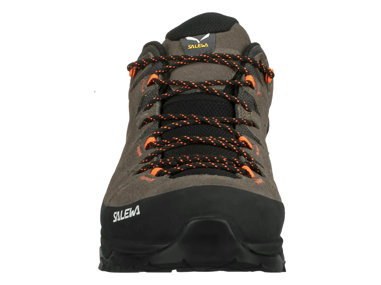 Salewa Alp Trainer 2 GTX Herrenschuhe Bungee Cord/Black