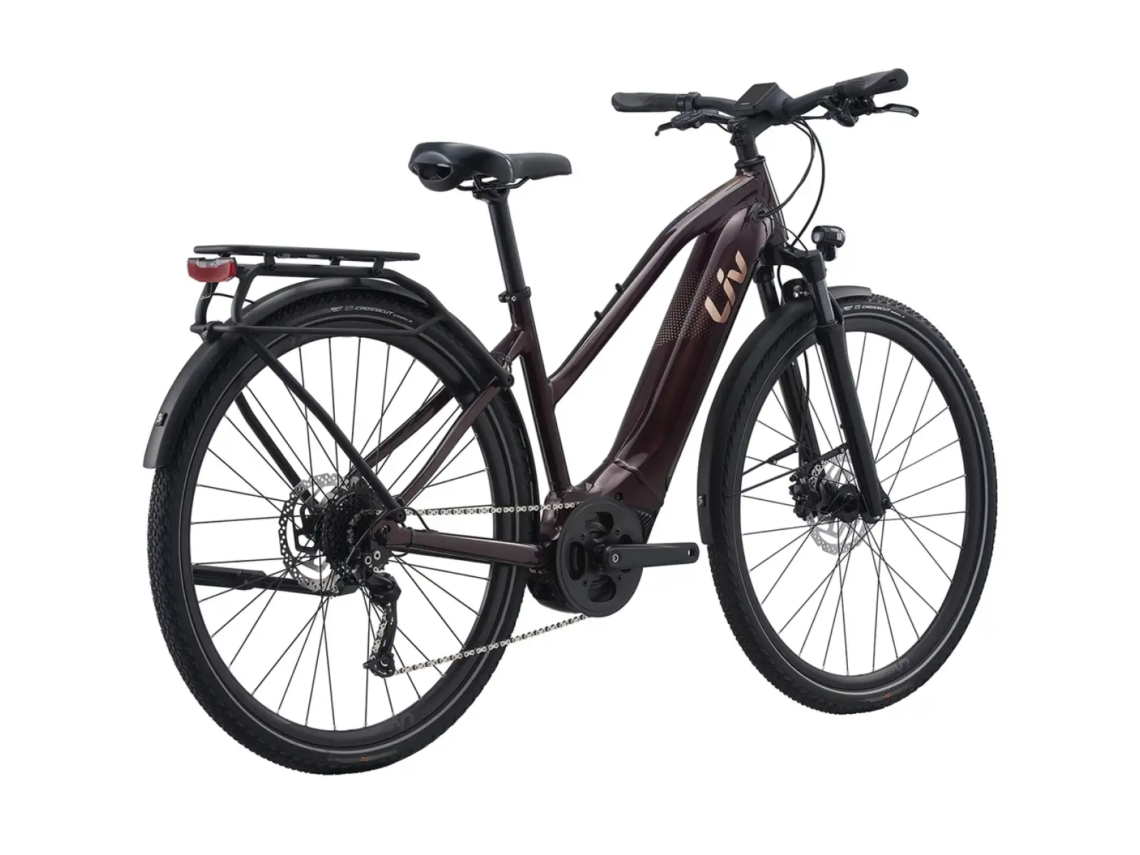 Liv Amiti E+2 Trekking E-Bike in Rosewood Color