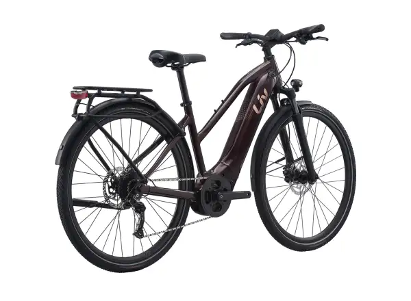 Liv Amiti E+2 Trekking E-Bike in Rosewood Color