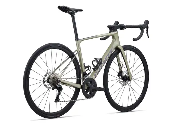 Giant Defy Advanced 2 Rennrad Lorbeerblatt