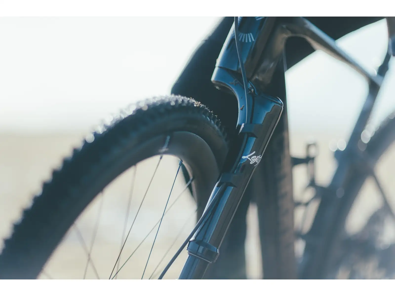 Cannondale Topstone Carbon 1 Lefty AXS Gravelrad BLK