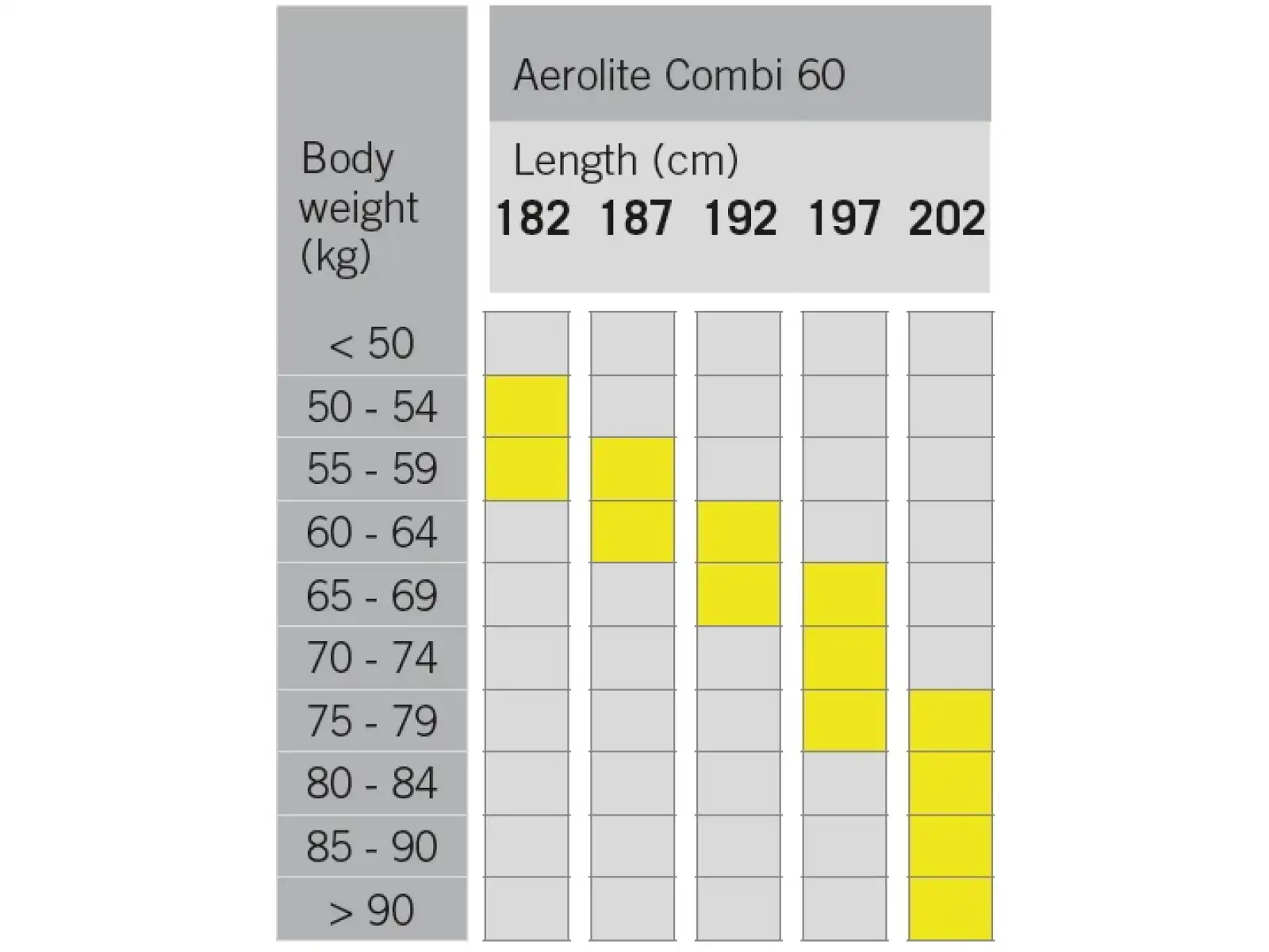 Fischer Aerolite Combi 60 Langlaufskier + Race Combi Bindungen Set 2024/25