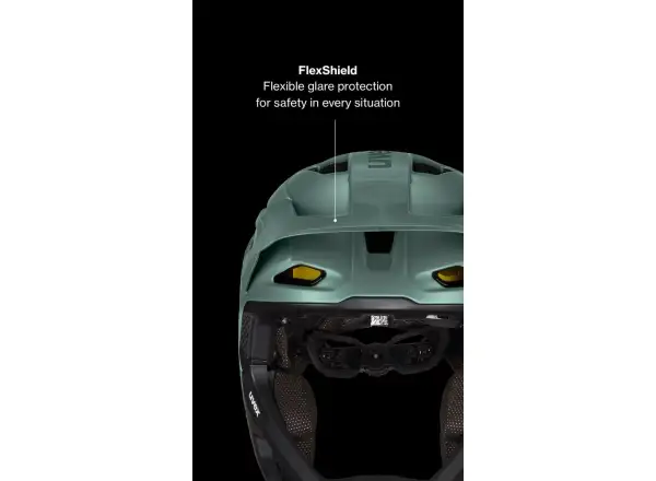 Uvex Revolt MIPS Helm All Black Matt