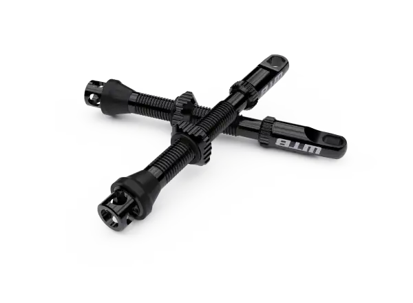 WTB TCS AL Max-Flow Presta Valve Tubeless Ventile 65mm schwarz 2 Stk