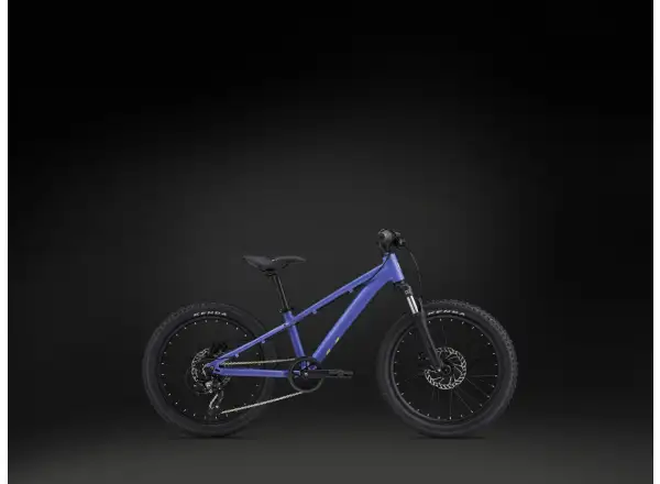 Giant STP 20 FS Liv Kinderfahrrad Dusted Peri