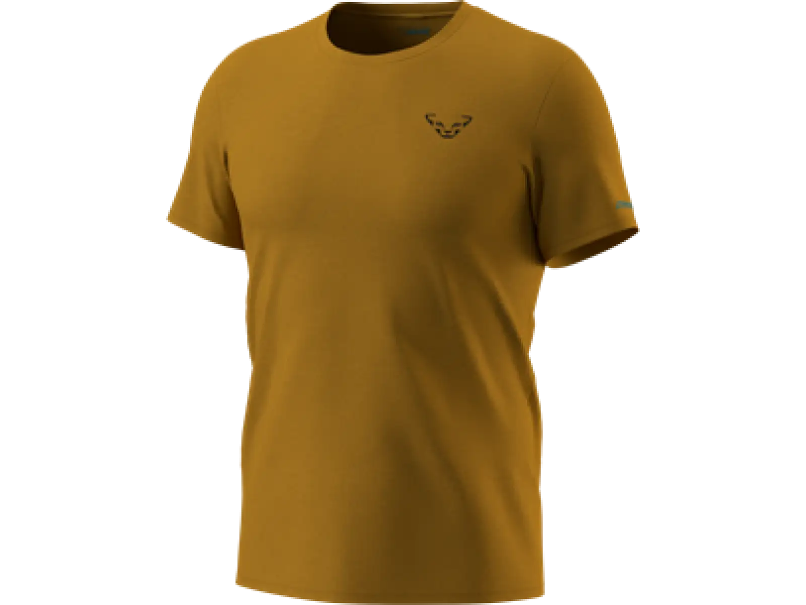 Dynafit 24/7 Graphic Herren T-Shirt Kurzarm Relic/Striped Elevation