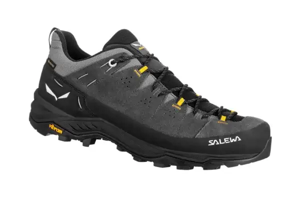 Salewa Alp Trainer 2 Gore-Tex Herrenschuhe Onyx Black
