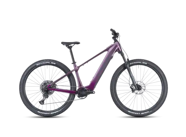 Crussis e-Fionna AX 9.12-M2(800) Mountain E-Bike