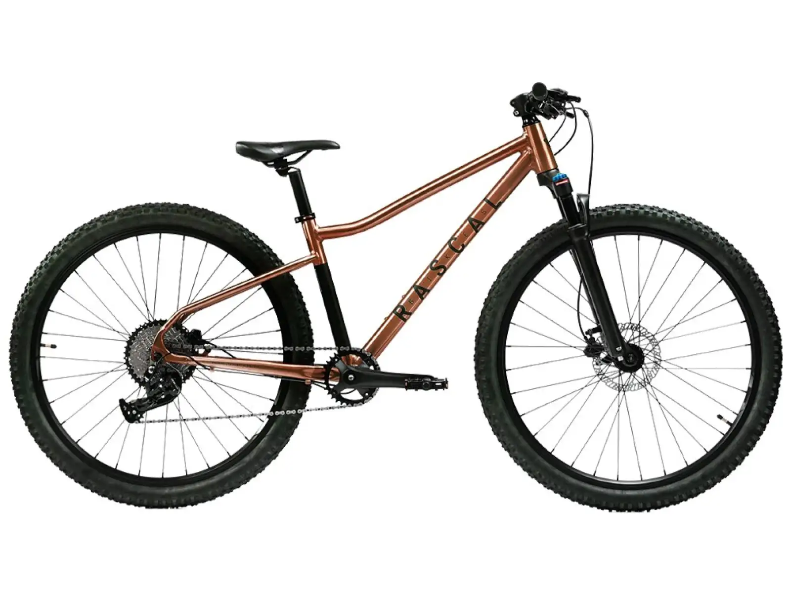 Rascal Wild 29 Kinderfahrrad Bronze