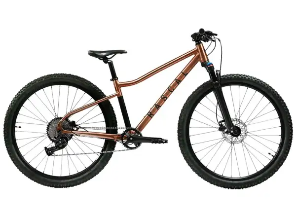 Rascal Wild 29 Kinderfahrrad Bronze