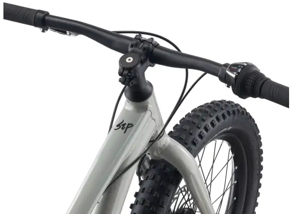 Giant STP 20 Kinderfahrrad Concrete