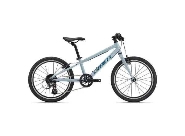 Giant ARX 20 Kinderfahrrad Soap Suds
