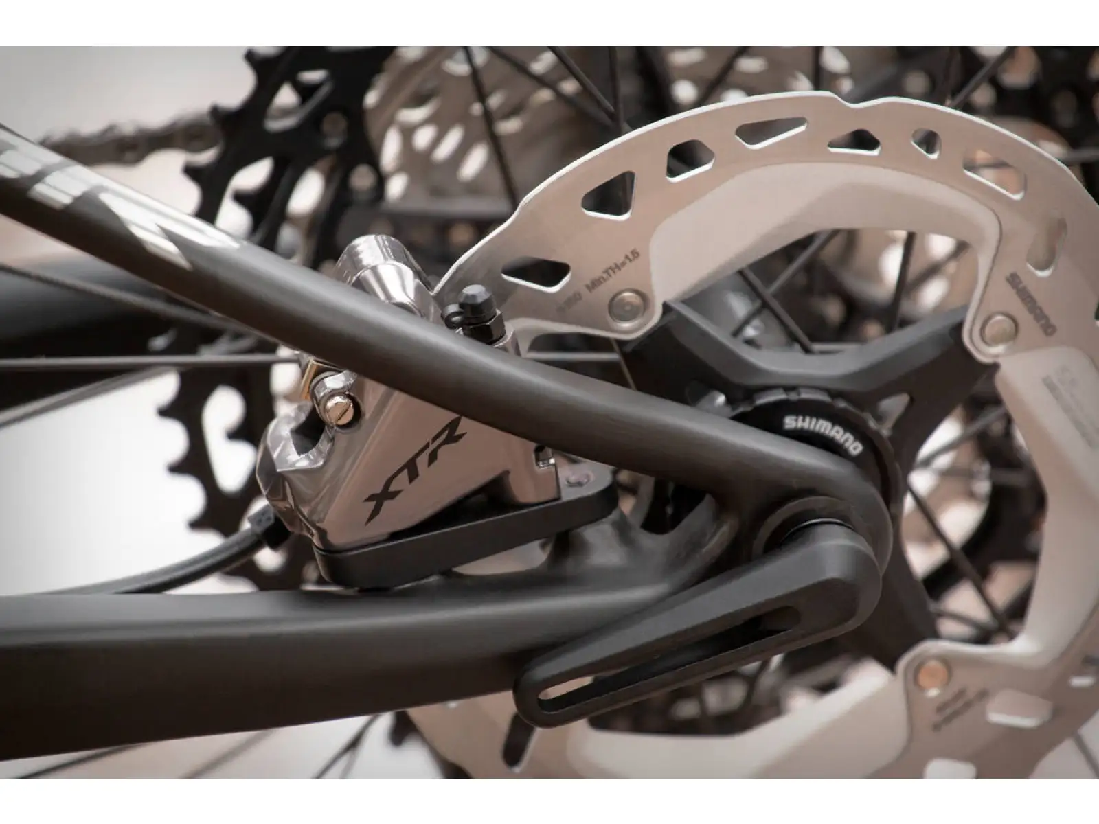 Mountainbike Superior Team XF 29 Gloss Carbon/Chrome