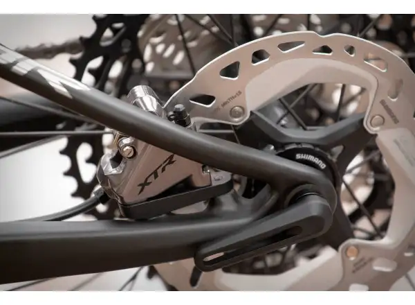 Mountainbike Superior Team XF 29 Gloss Carbon/Chrome